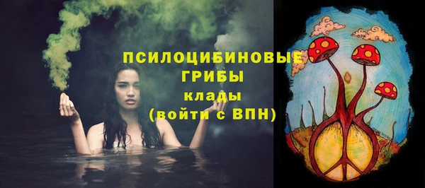 молекула духа Красноперекопск