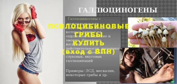 молекула духа Красноперекопск